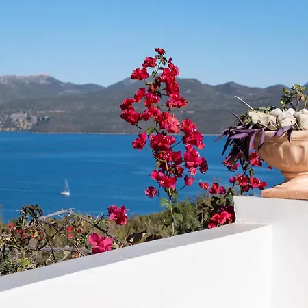Willa Maneas Exclusive New Luxury